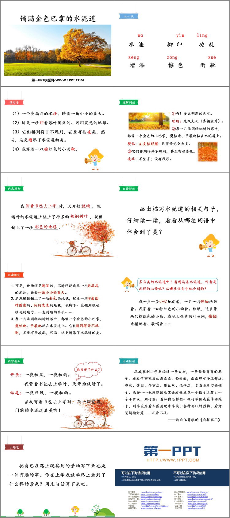 《铺满金色巴掌的水泥道》PPT优质课件