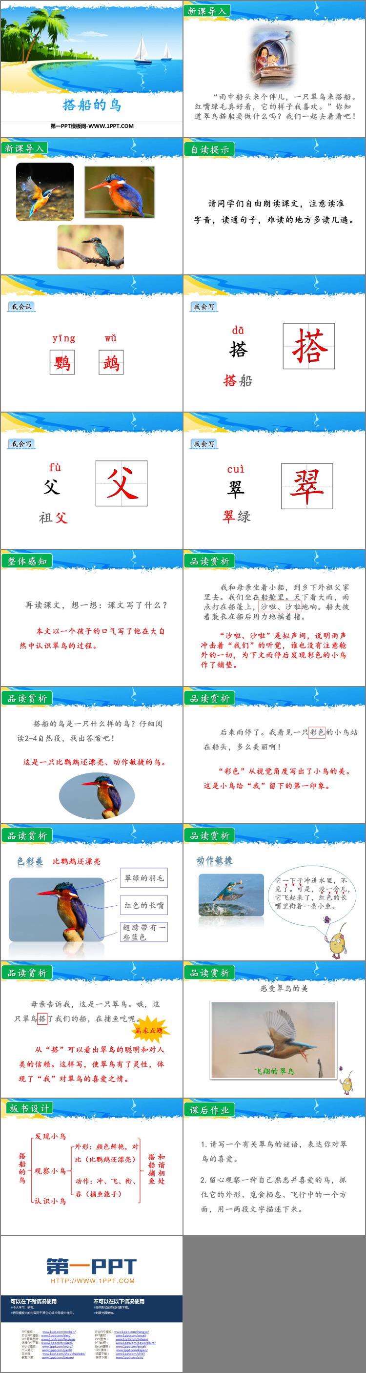 《搭船的鸟》PPT优秀课件