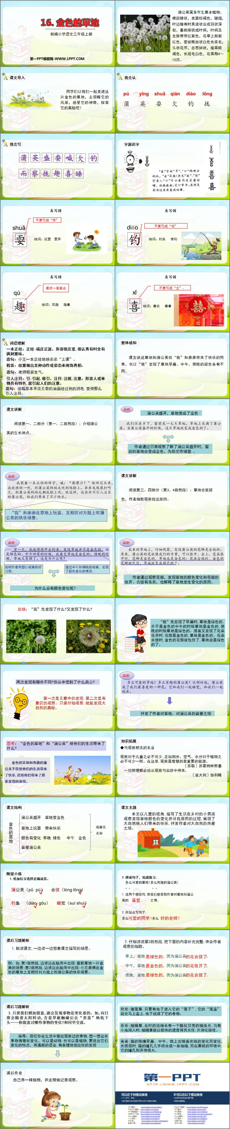 《金色的草地》PPT免费课件下载