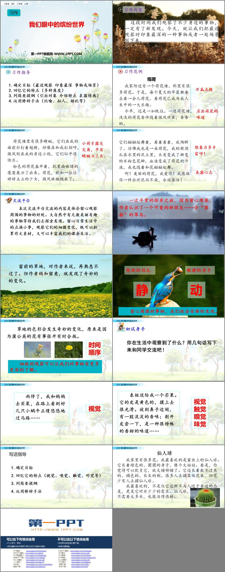 《习作：我们眼中的缤纷世界》PPT教学课件