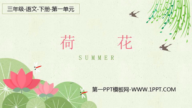 《荷花》PPT精品课件下载
