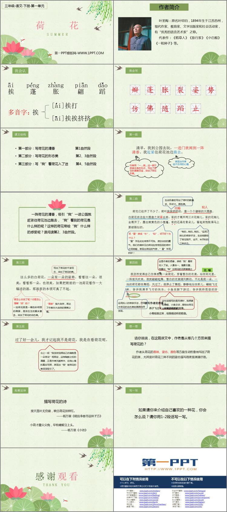 《荷花》PPT精品课件下载