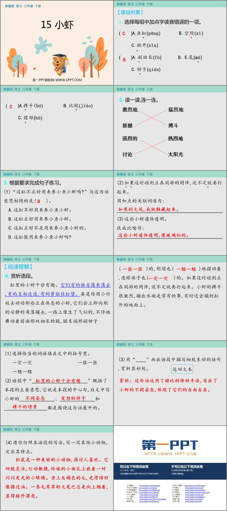 《小虾》PPT精品课件