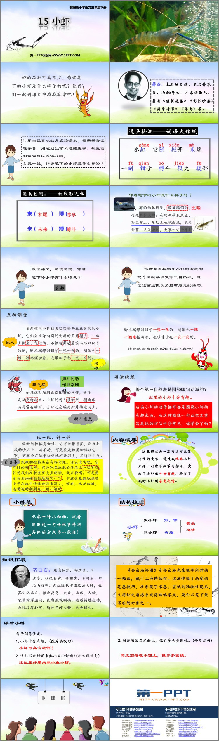 《小虾》PPT课文课件