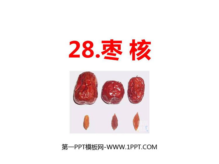 《枣核》PPT优秀课件