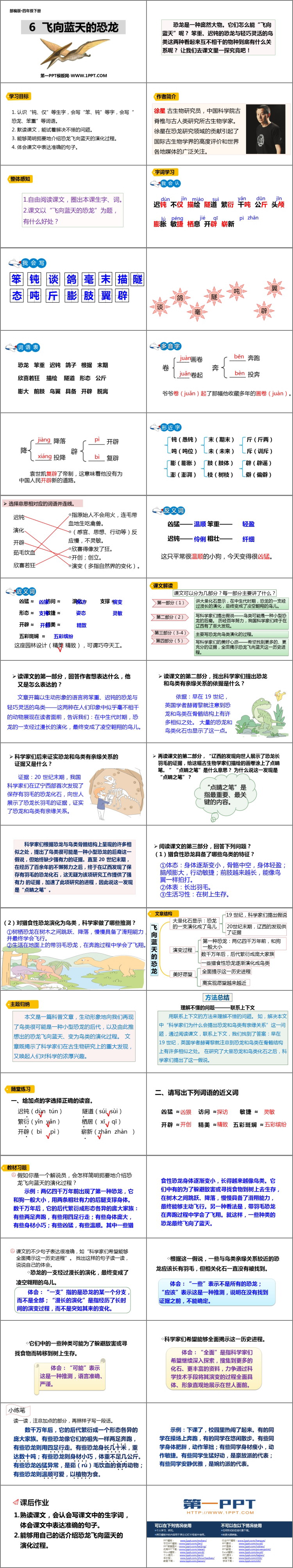 《飞向蓝天的恐龙》PPT精品课件