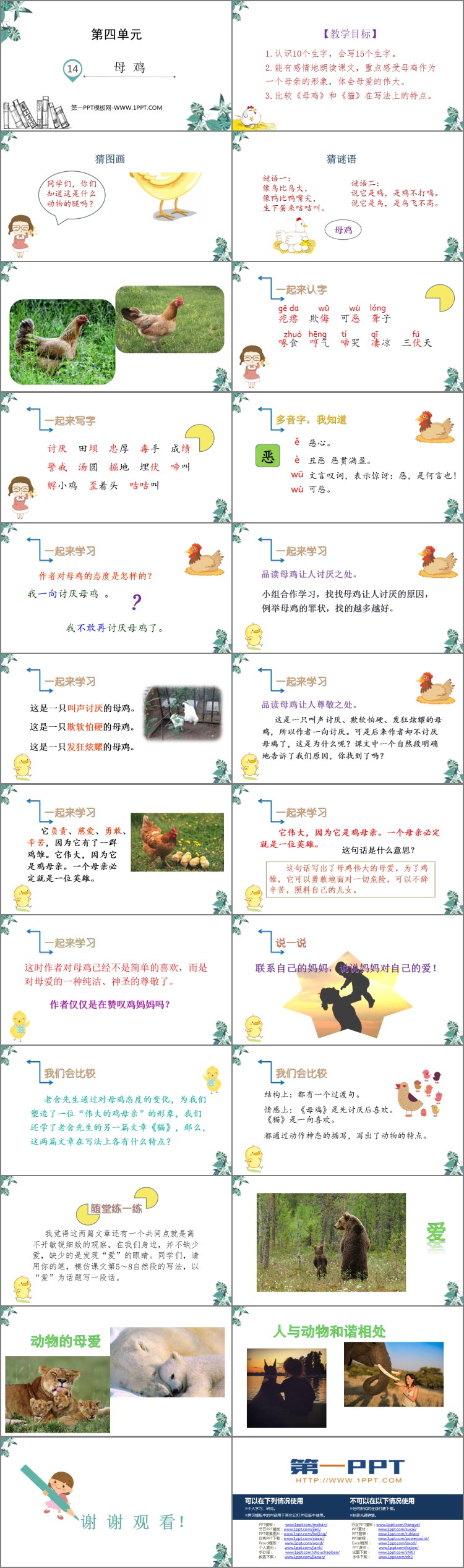 《母鸡》PPT教学课件