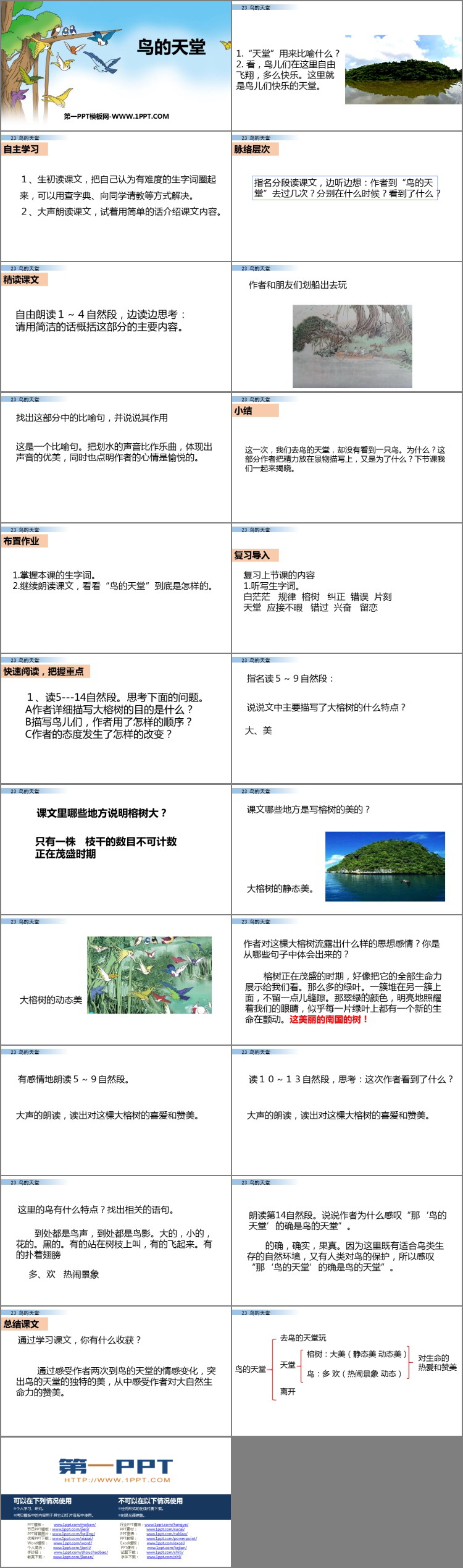 《鸟的天堂》PPT课件免费下载