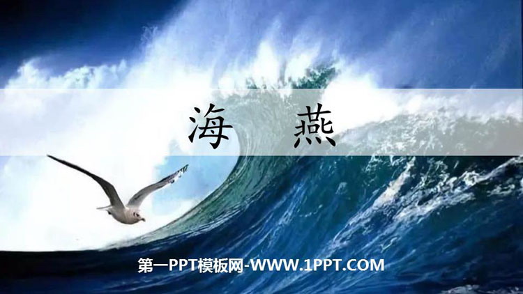《海燕》PPT精品课件下载