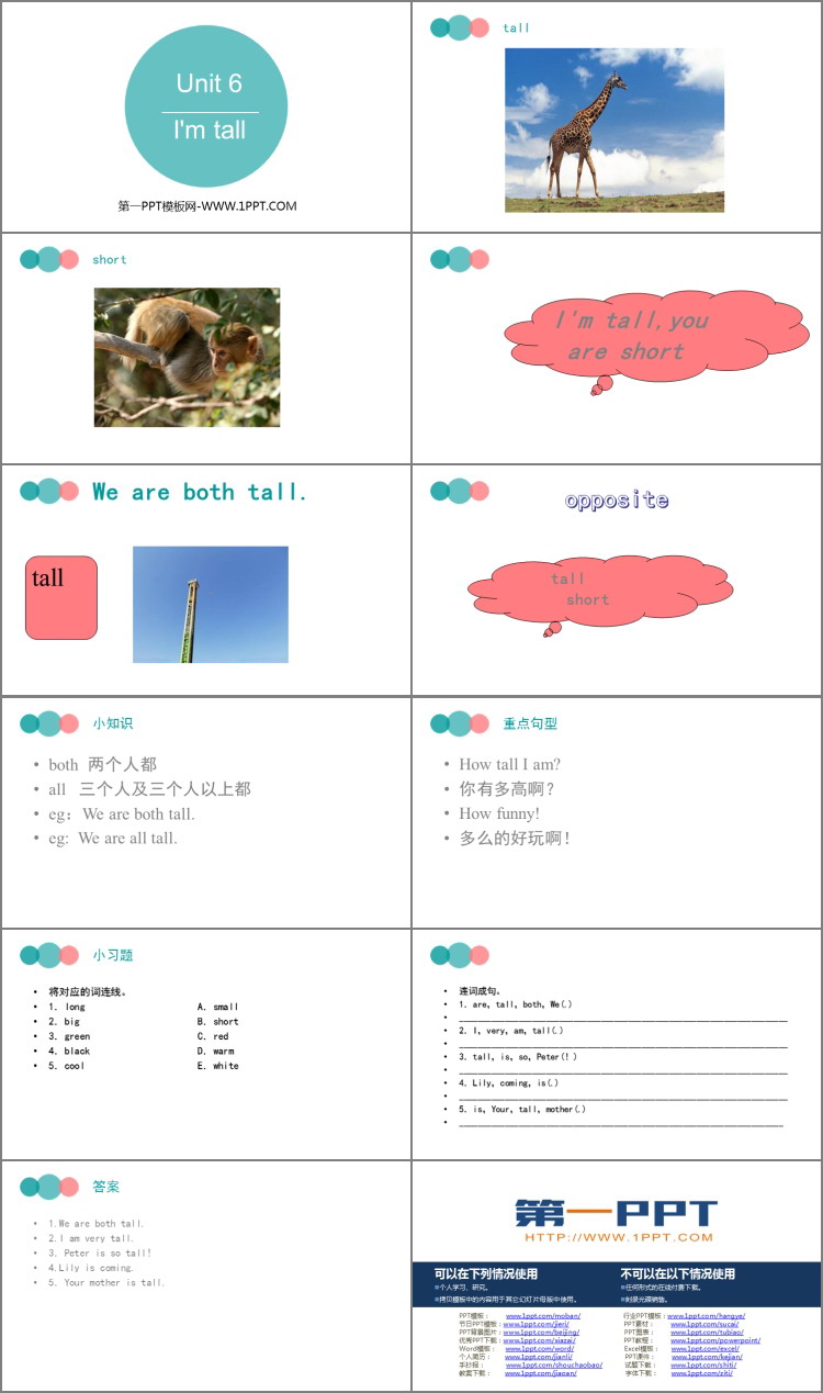 《I\m tall》PPT课件下载