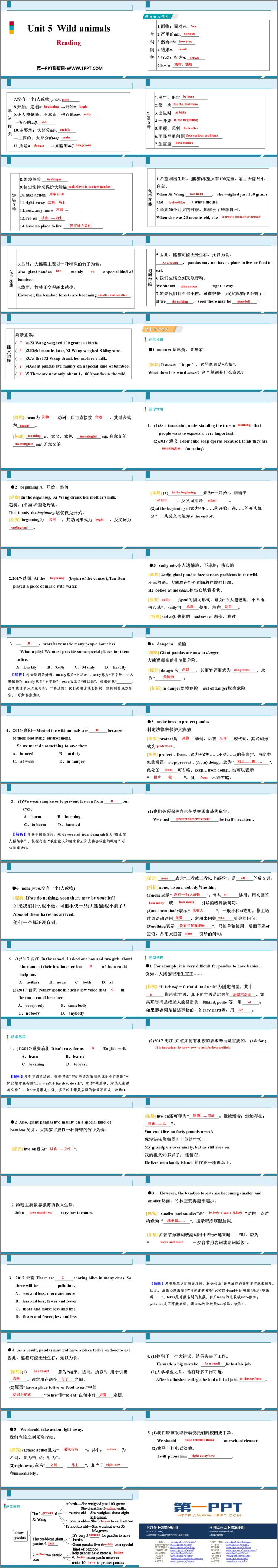 《Wild animals》Reading PPT习题课件