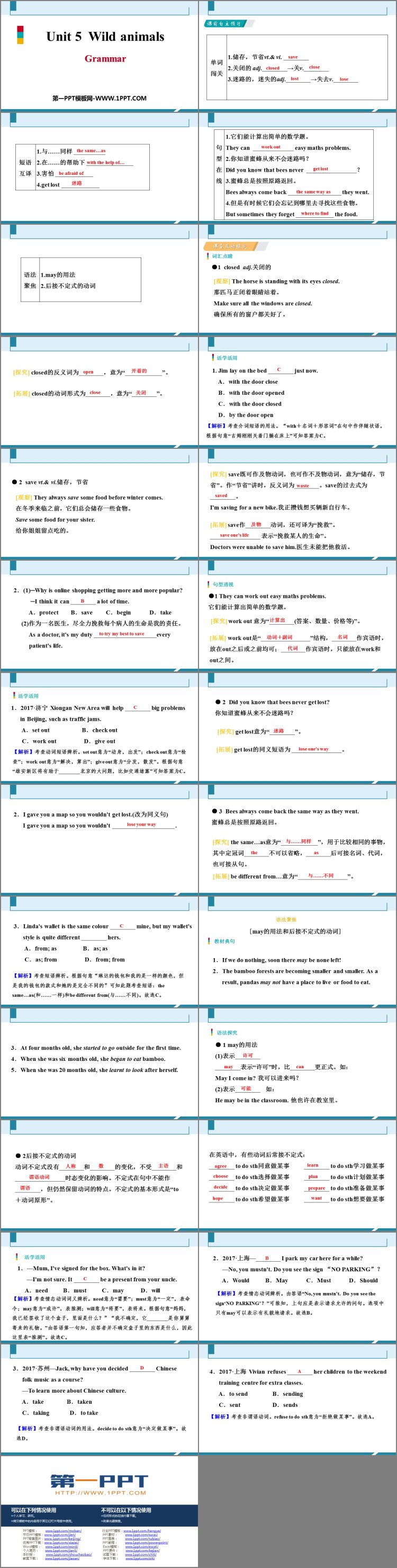 《Wild animals》Grammar PPT习题课件
