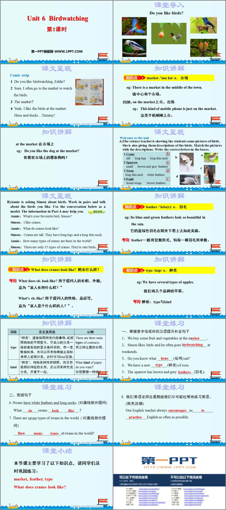 《Birdwatching》PPT课件(第1课时)