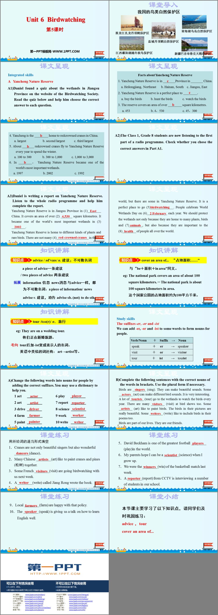 《Birdwatching》PPT课件(第5课时)