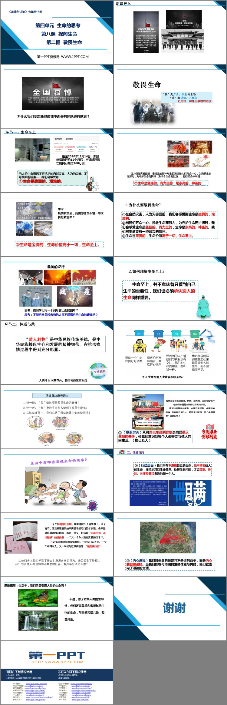 《敬畏生命》PPT优质课件