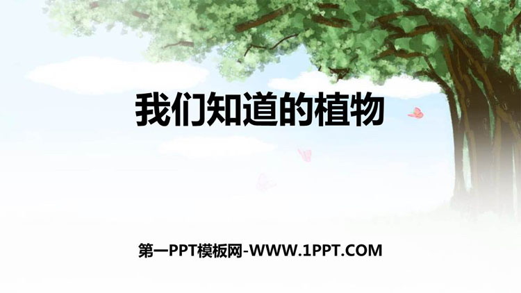 《我们知道的植物》PPT教学课件