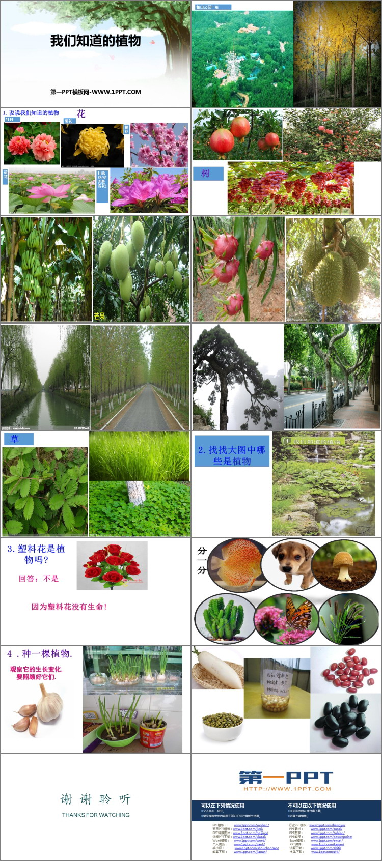 《我们知道的植物》PPT教学课件