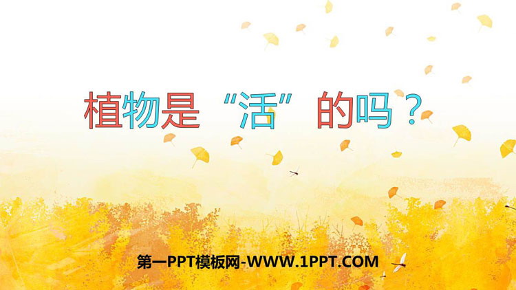 《植物是“活”的吗?》PPT下载