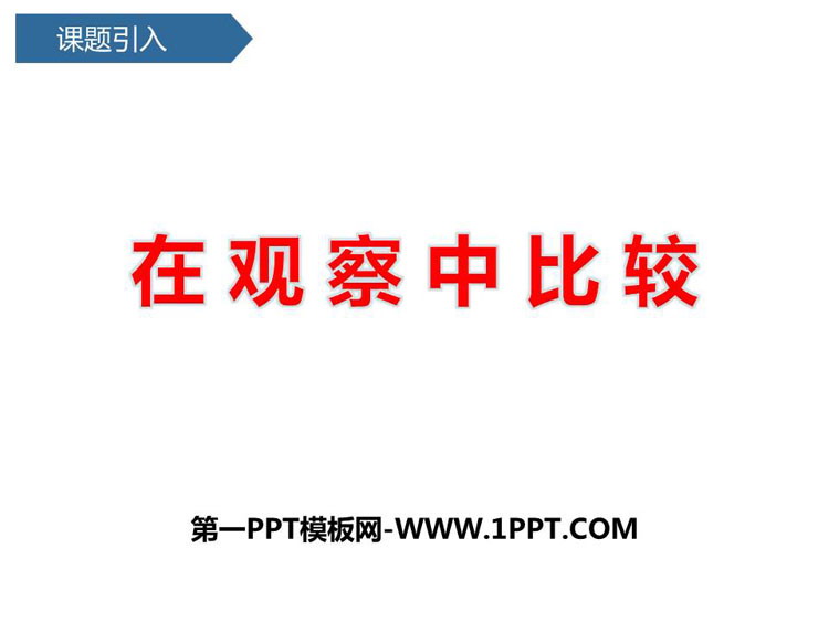 《在观察中比较》PPT课件