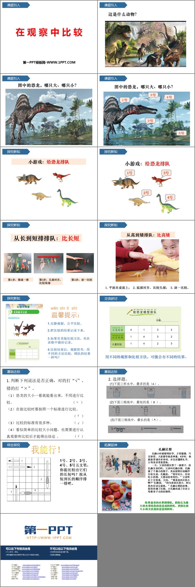 《在观察中比较》PPT课件