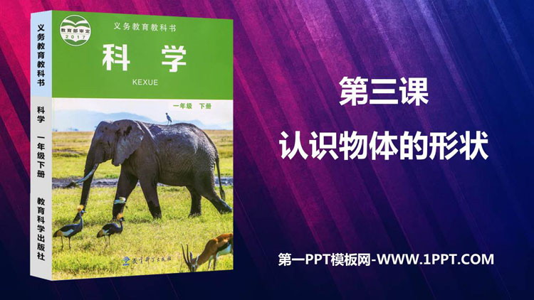 《认识物体的形状》PPT课件
