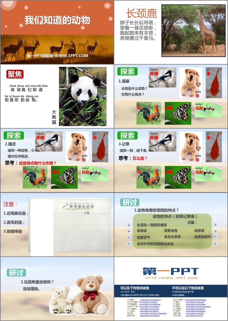 《我们知道的动物》PPT课件