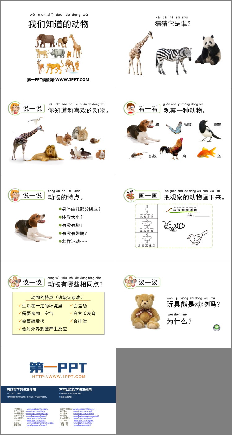 《我们知道的动物》PPT下载