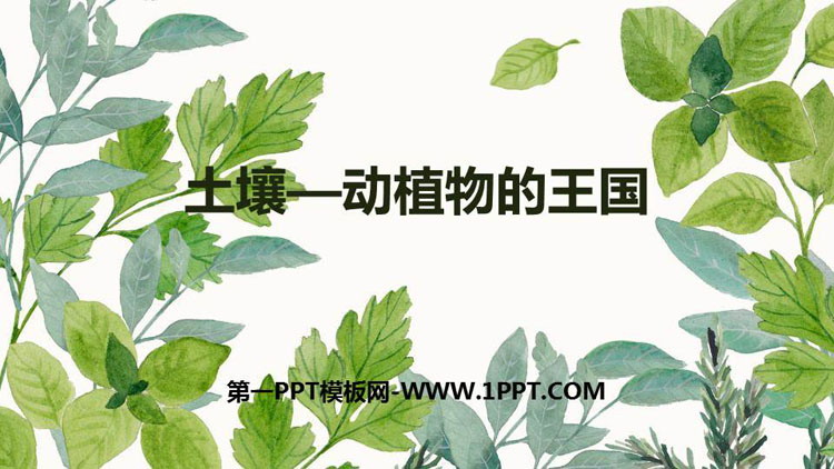 《土壤——动植物的乐园》PPT下载