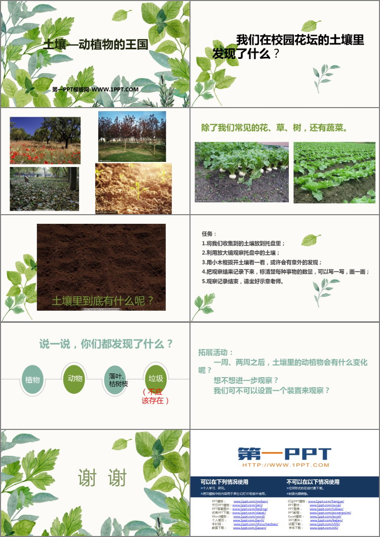 《土壤——动植物的乐园》PPT下载