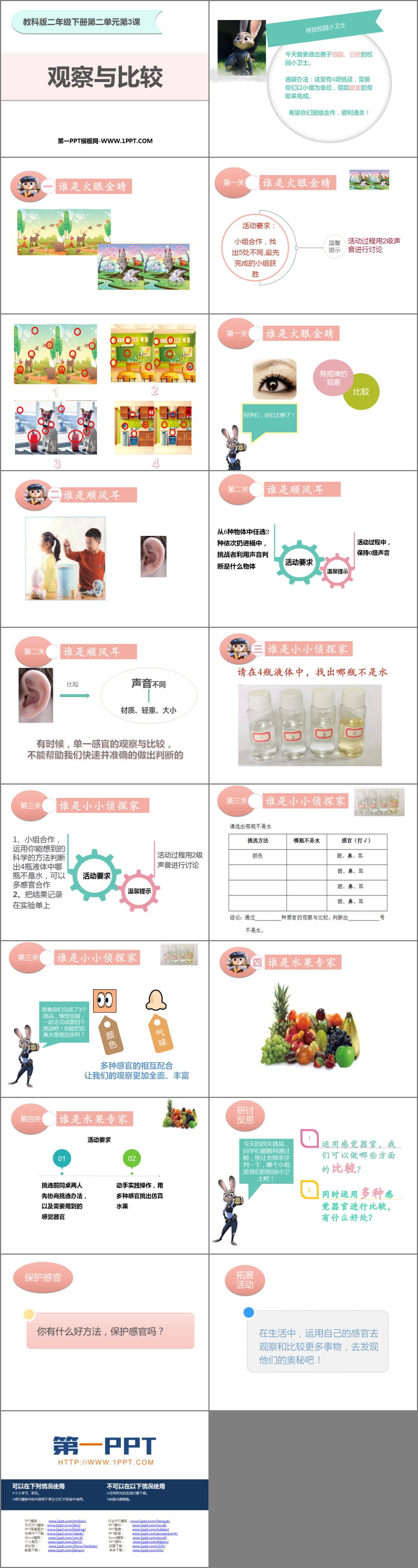 《观察与比较》PPT免费课件