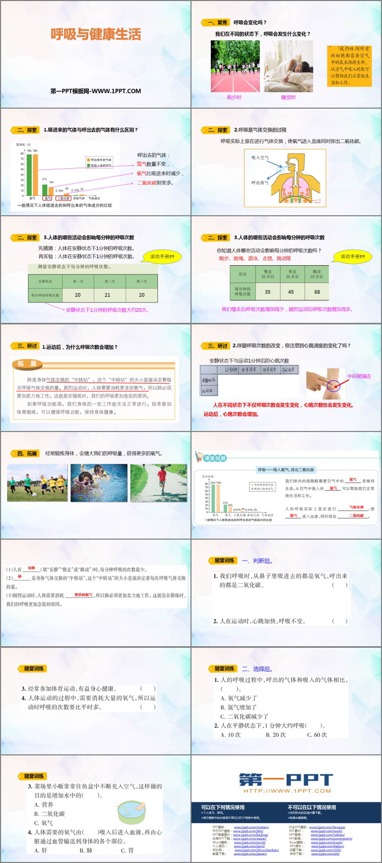 《呼吸与健康生活》PPT课件