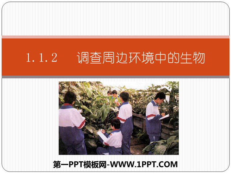 《调查周边环境中的生物》PPT优质课件
