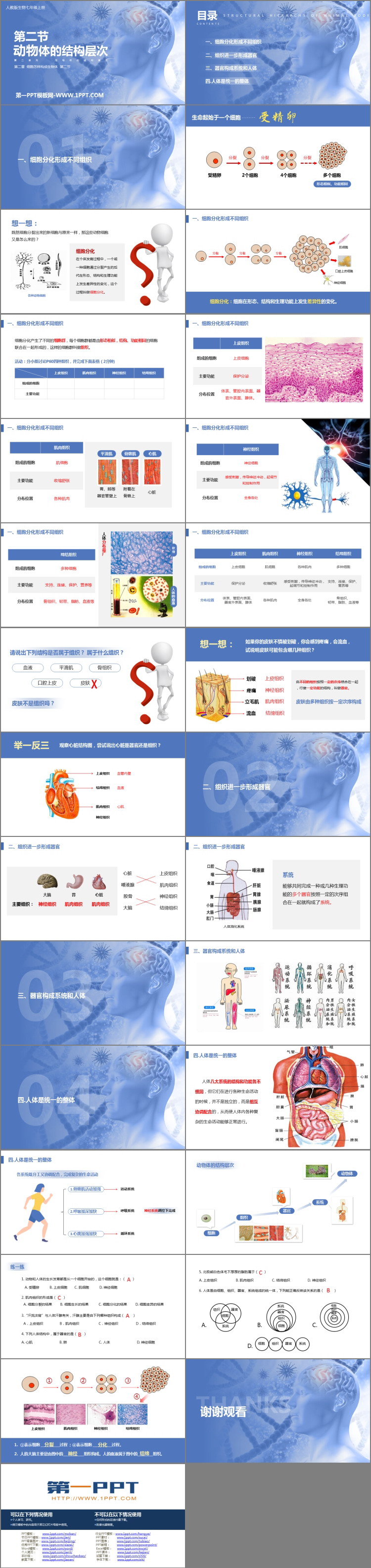 《动物体的结构层次》PPT教学课件