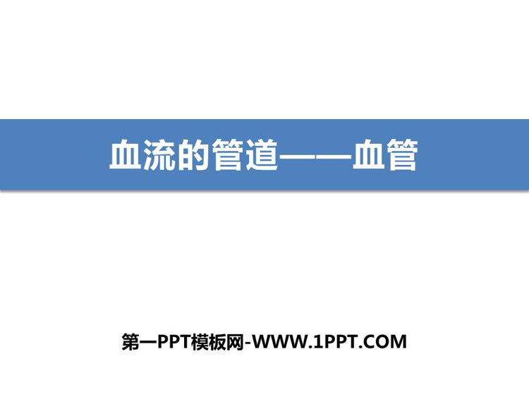 《血流的管道—血管》PPT优秀课件