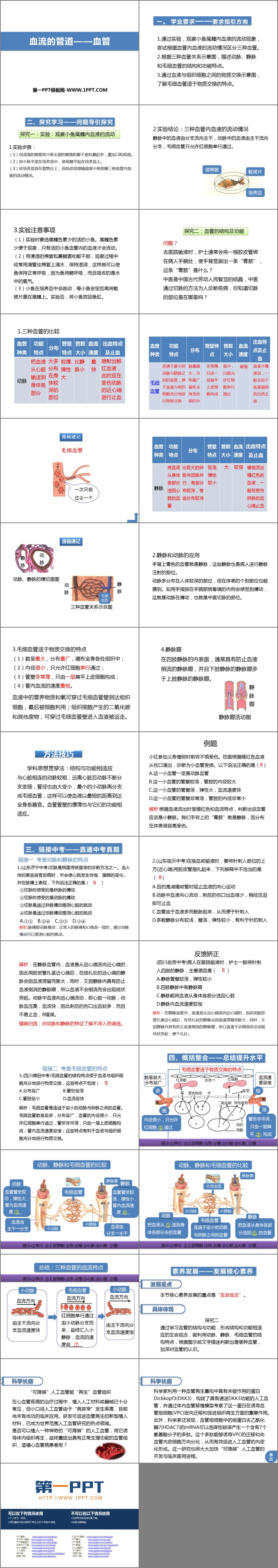 《血流的管道—血管》PPT优秀课件
