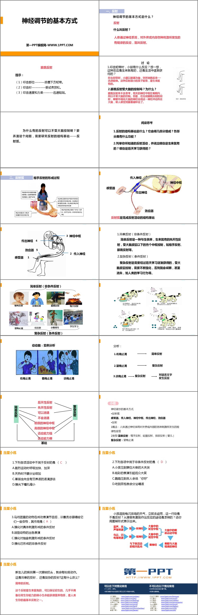 《神经调节的基本方式》PPT课件下载