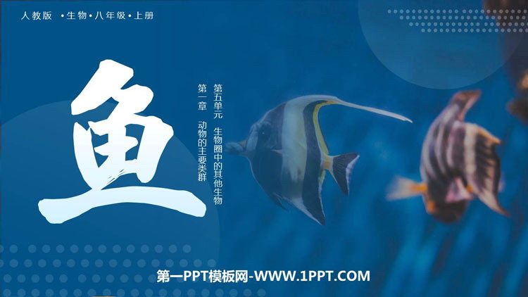 《鱼》PPT教学课件