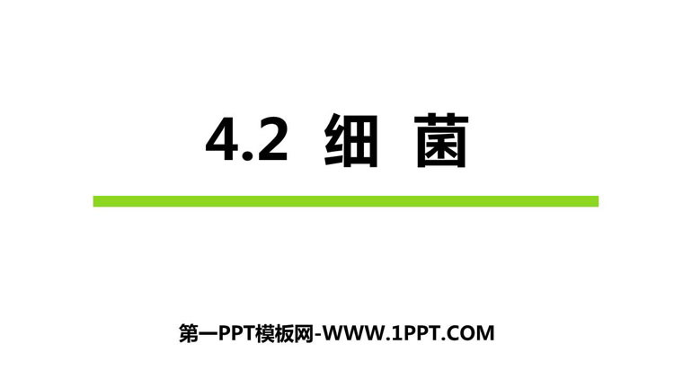 《细菌》PPT课件下载