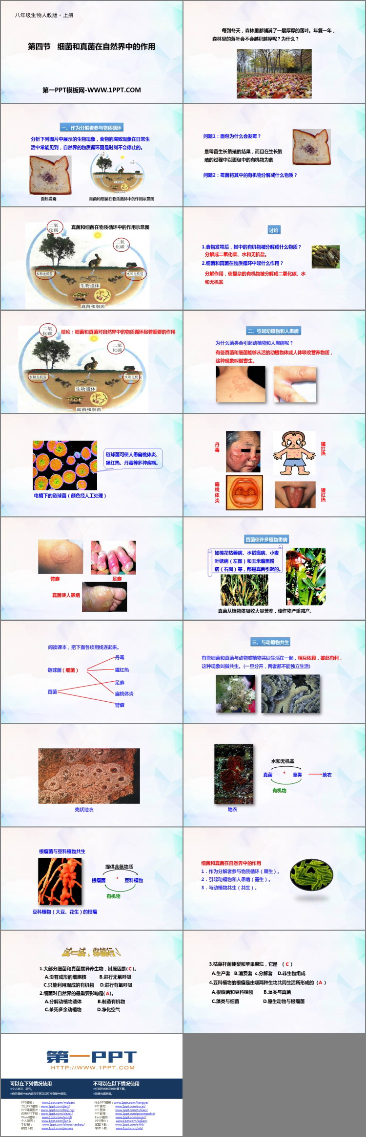 《细菌和真菌在自然界中的作用》PPT课件下载