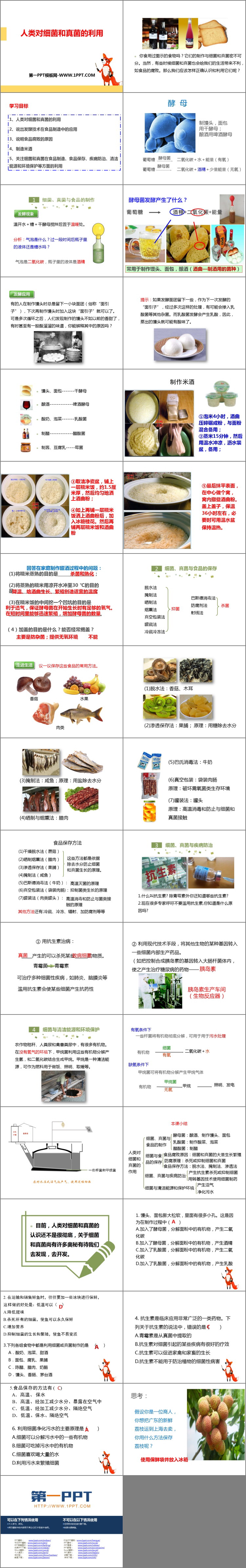 《人类对细菌和真菌的利用》PPT教学课件