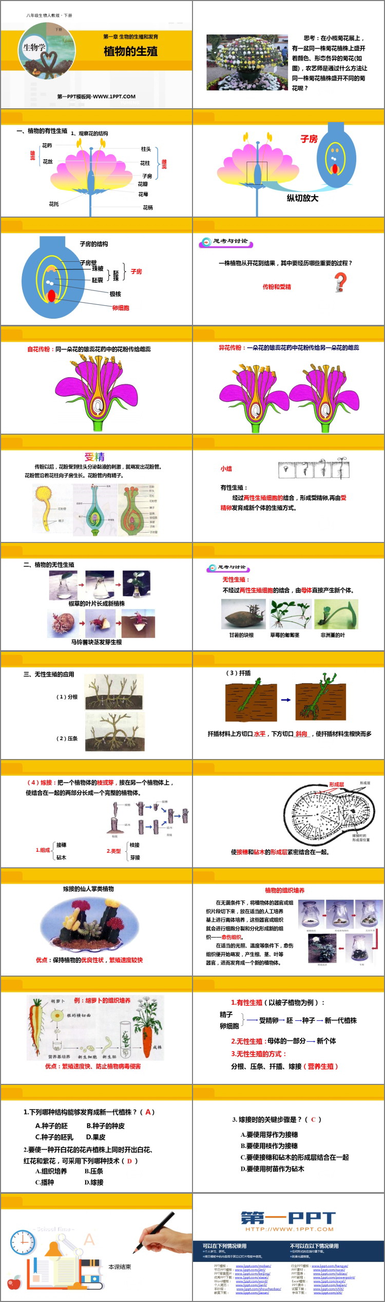 《植物的生殖》PPT课件下载