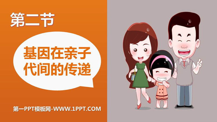 《基因在亲子代间的传递》PPT课件下载