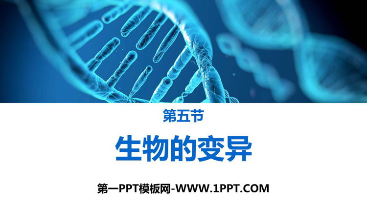 《生物的变异》PPT教学课件