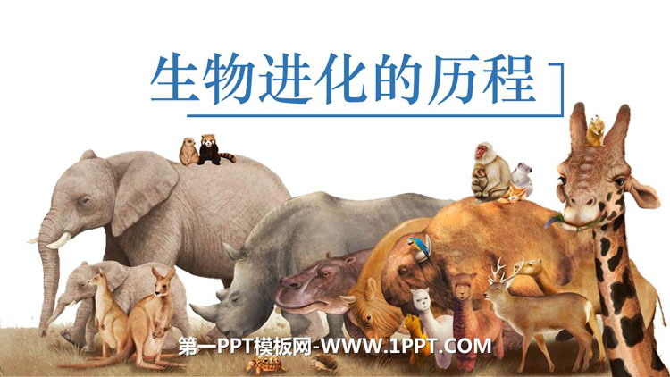 《生物进化的历程》PPT教学课件