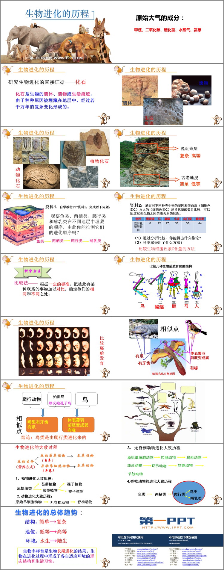 《生物进化的历程》PPT教学课件