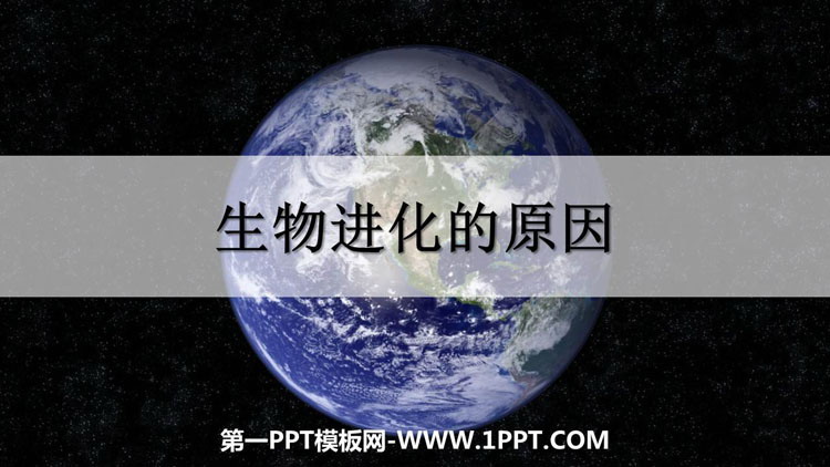 《生物进化的原因》PPT课件下载