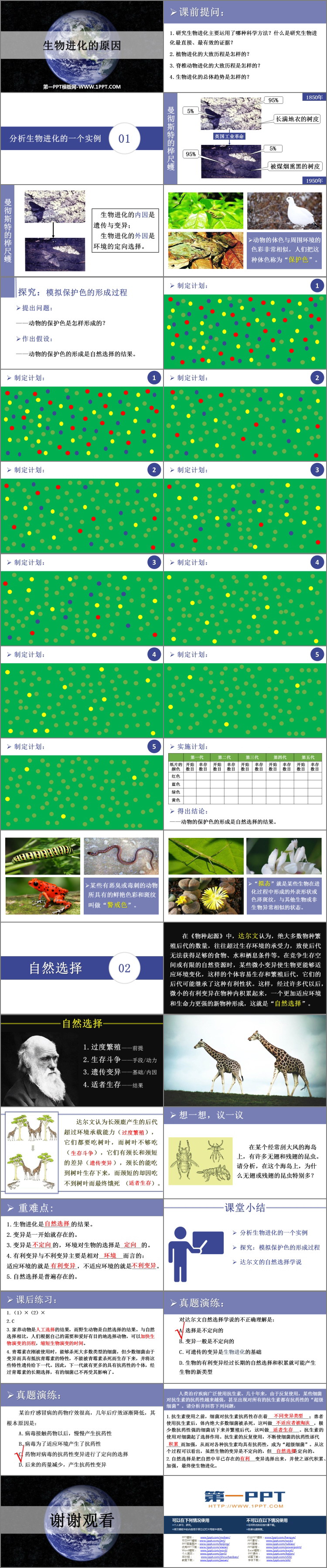 《生物进化的原因》PPT课件下载