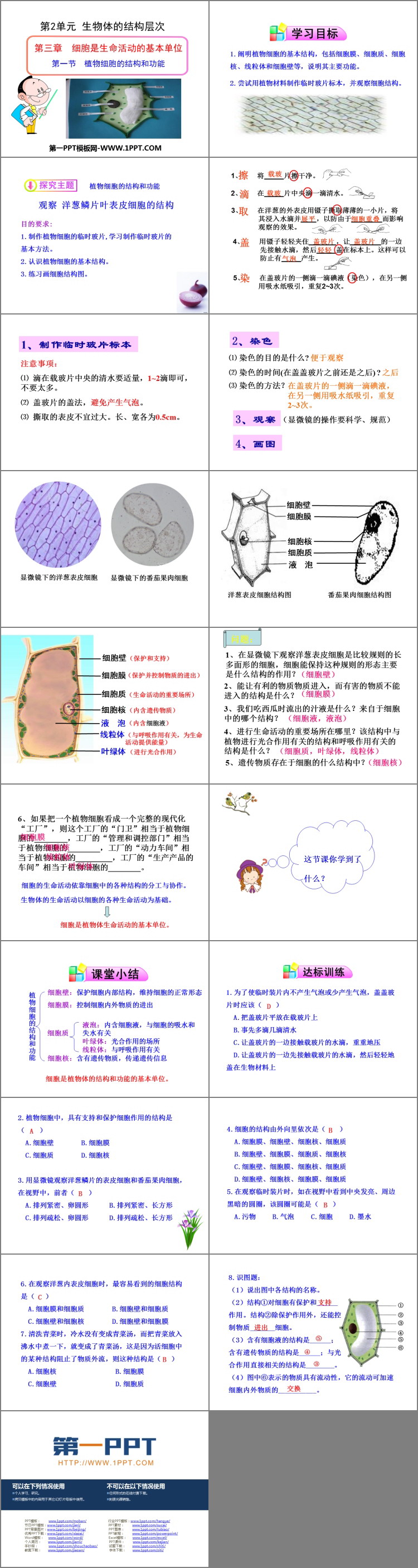 《植物细胞结构和功能》PPT课件下载