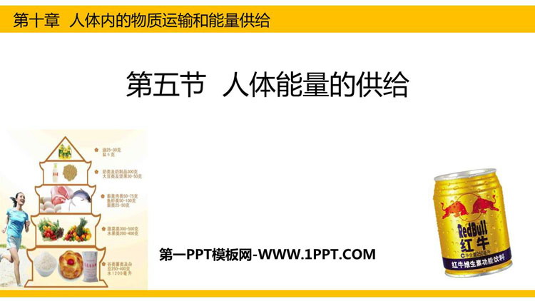 《人体能量的供给》PPT下载