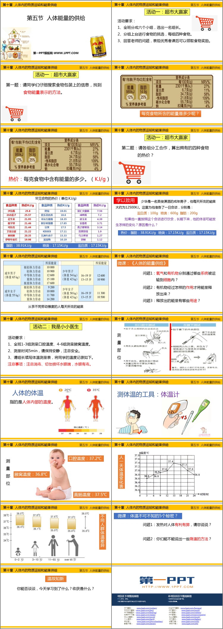 《人体能量的供给》PPT下载